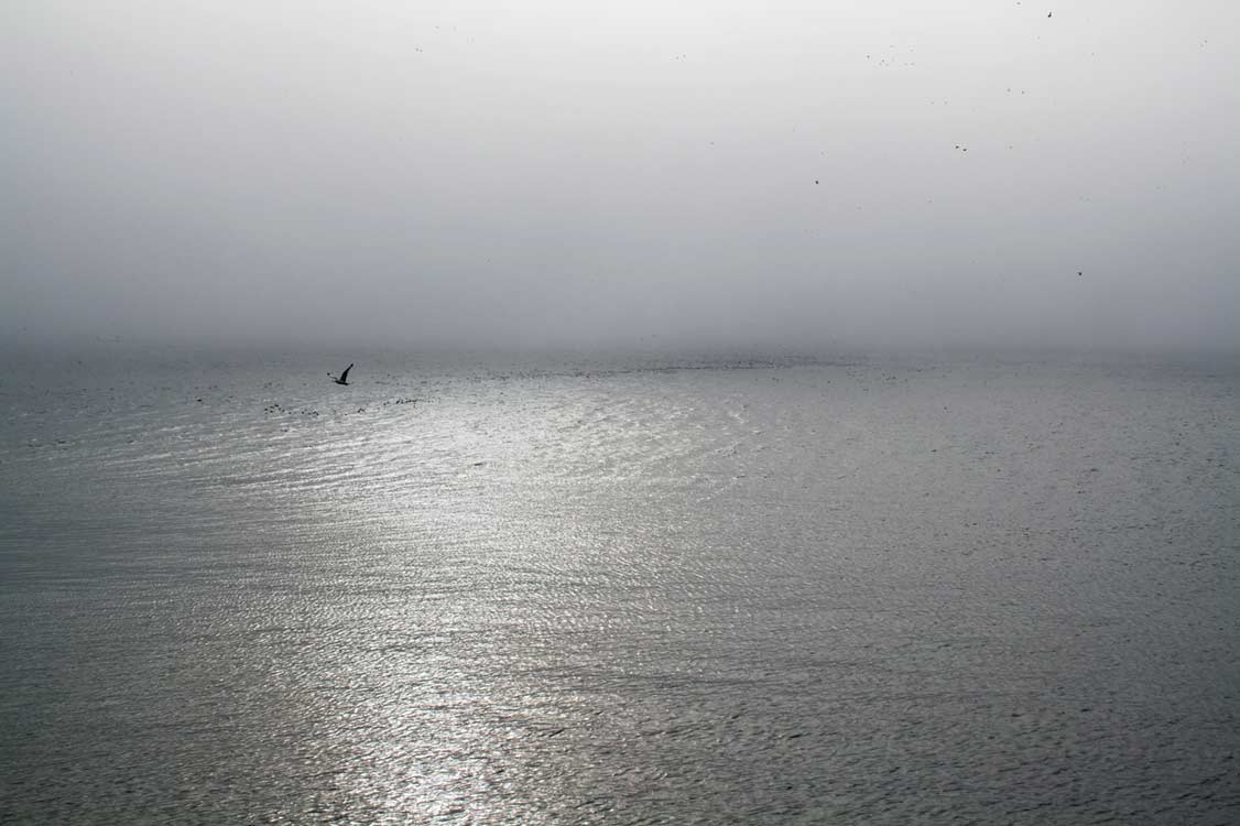 "Time unknown" Photo Catarina Ryöppy.